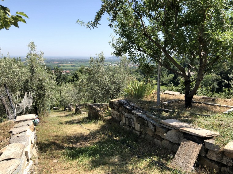 San-Secondo-di-Pinerolo---Frutteto---Vigneto-e-Uliveto